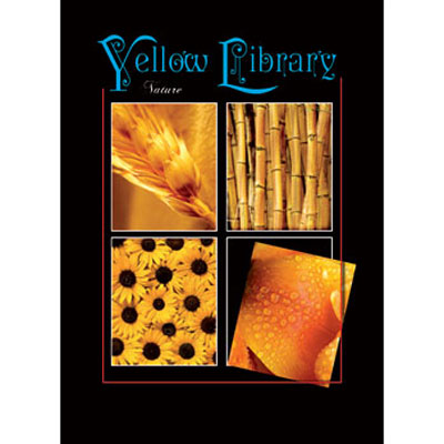 Пакет подарочный "Yellow Library", 33 см x 46 см x 10 см бумага Изготовитель: Китай Артикул: 16075 инфо 8492c.