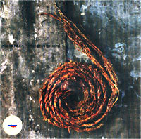 Nine Inch Nails Futher Down The Spir Формат: Audio CD (Jewel Case) Дистрибьютор: Interscope Records Лицензионные товары Характеристики аудионосителей 1995 г Альбом инфо 8917c.
