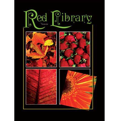 Пакет подарочный "Red Library", 18 см x 23 см x 10 см бумага Изготовитель: Китай Артикул: 16077 инфо 6266e.